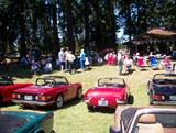 Borst Park Centralia Picnic 2013 041